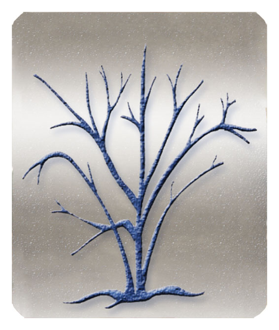 DF35 580 BL SL Birch Tree Silver Blue PROOF
